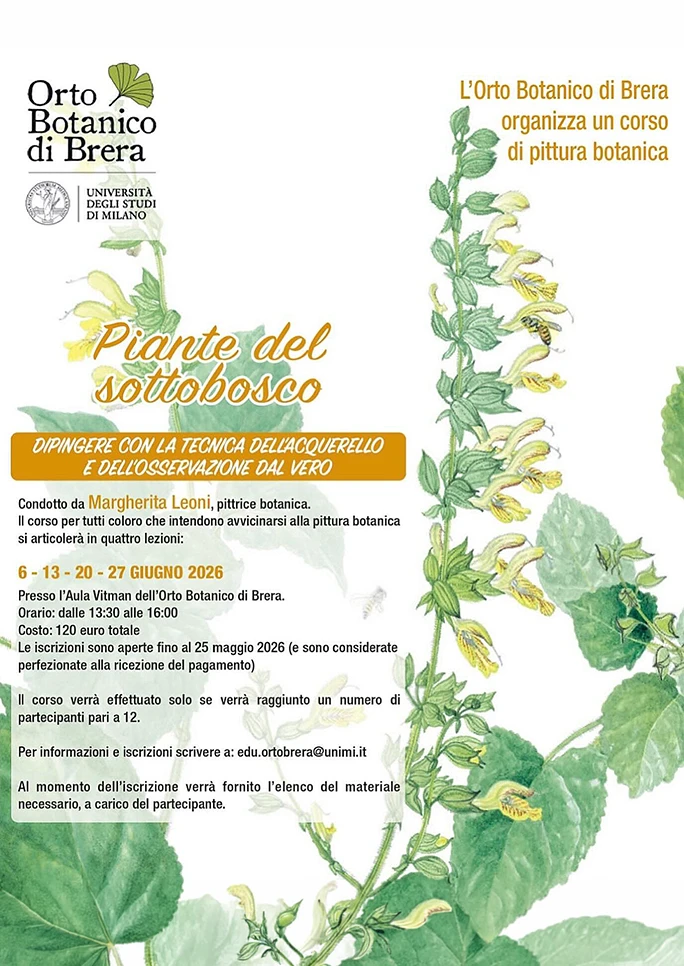 Corso di pittura botanica “Piante del sottobosco”